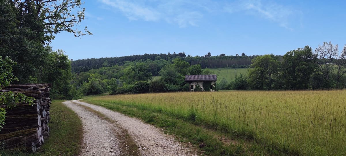 Photo du site de Lisse Lac