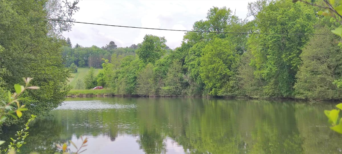 Photo du site de Lisse Lac
