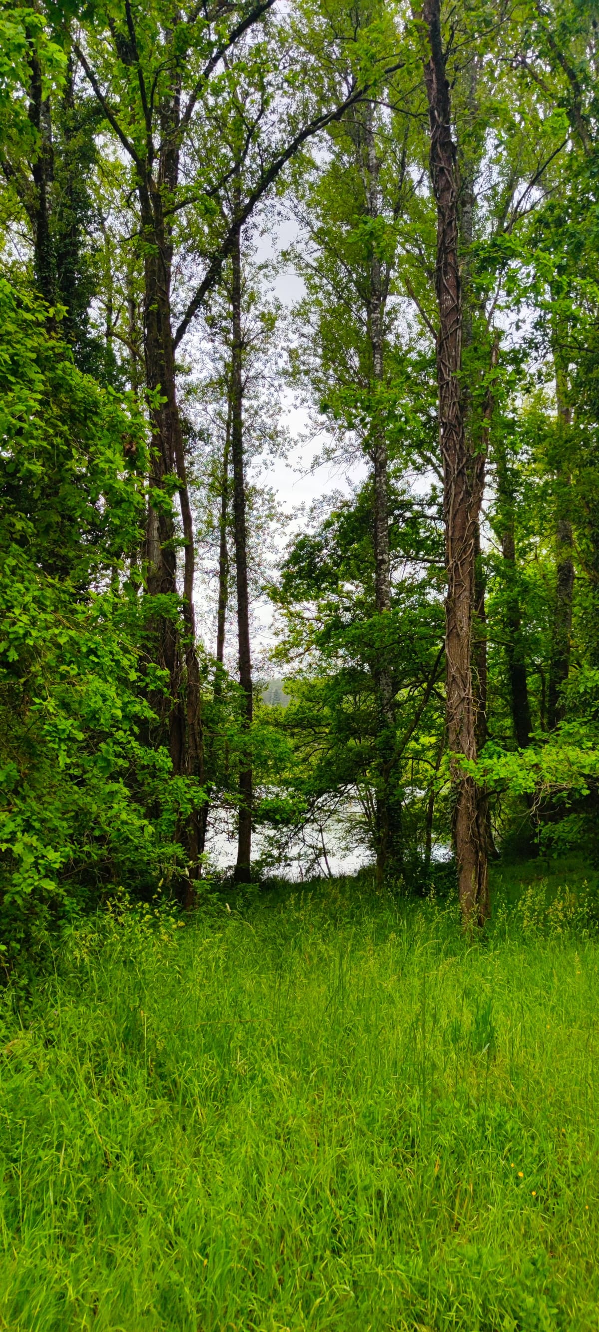 Photo du site de Lisse Lac