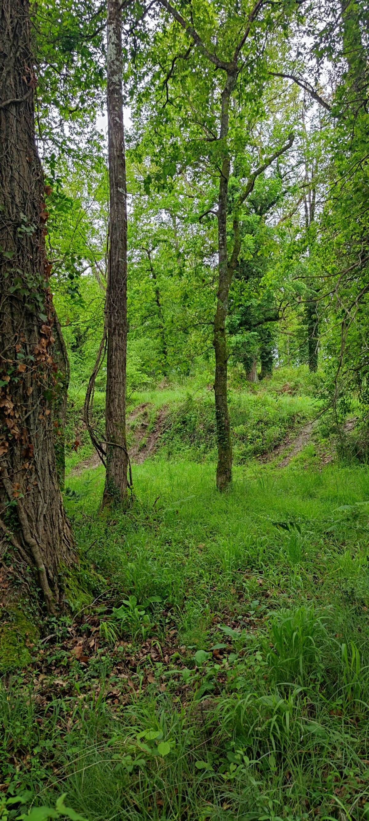 Photo du site de Lisse Lac