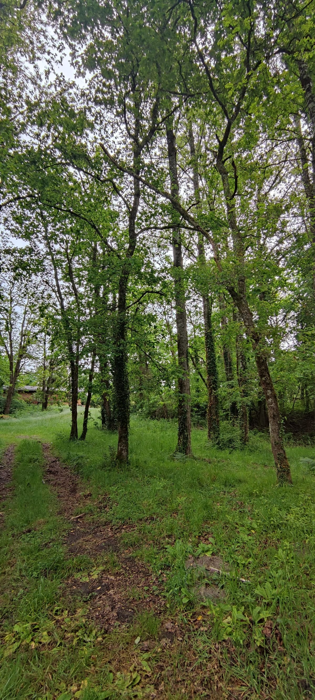Photo du site de Lisse Lac
