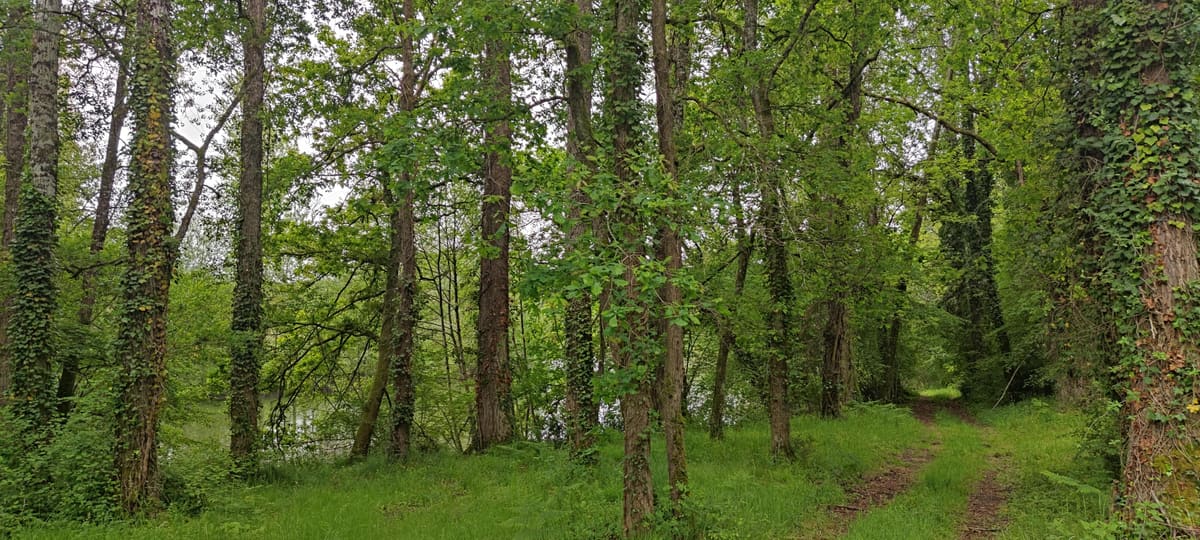 Photo du site de Lisse Lac
