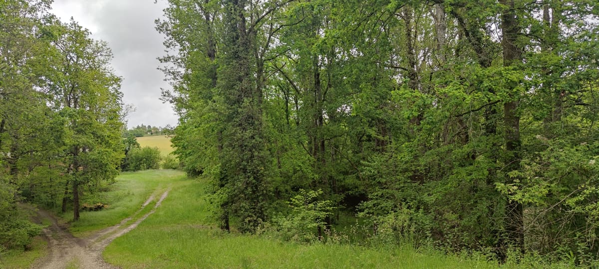 Photo du site de Lisse Lac
