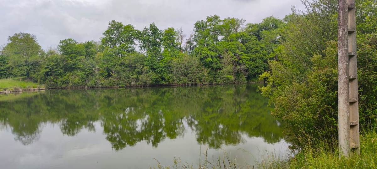 Photo du site de Lisse Lac