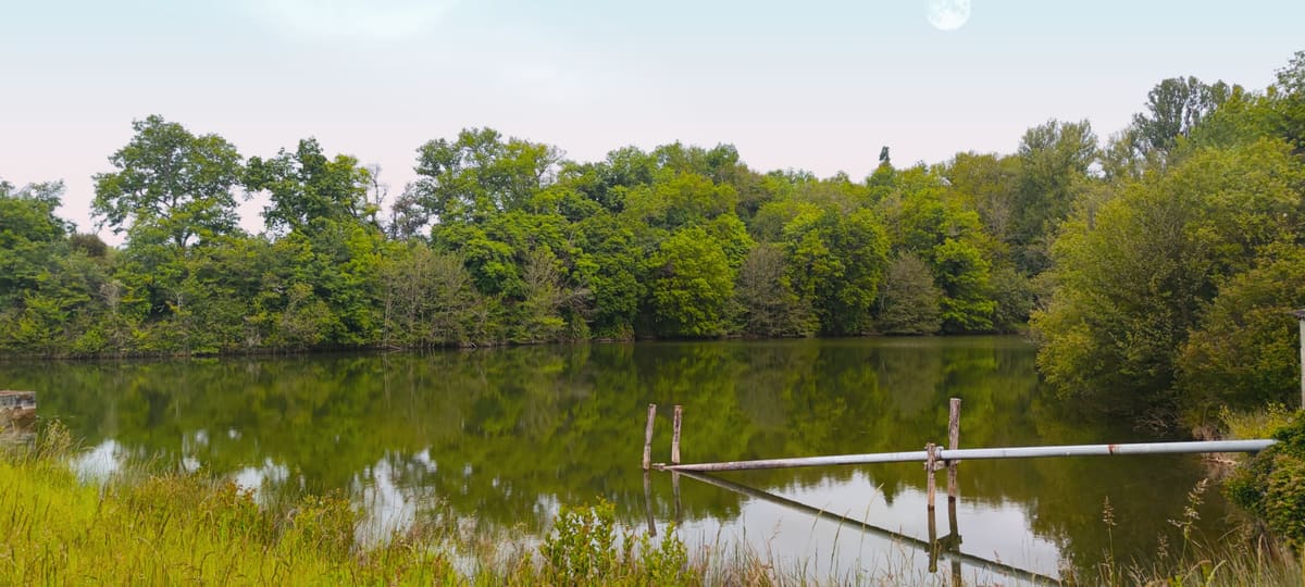 Photo du site de Lisse Lac