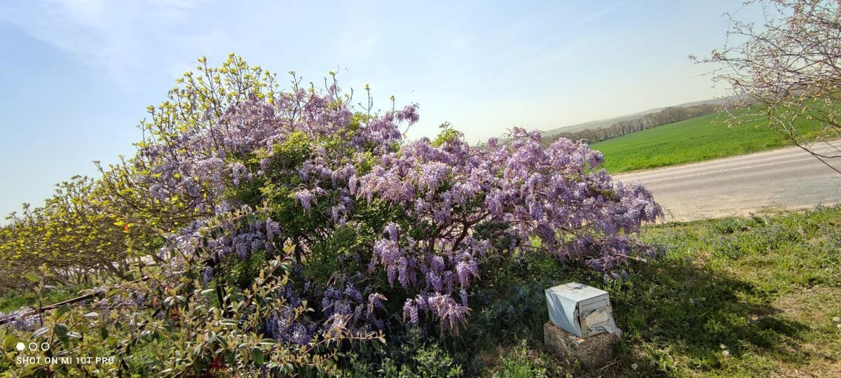Photo du site de Lisse Lac
