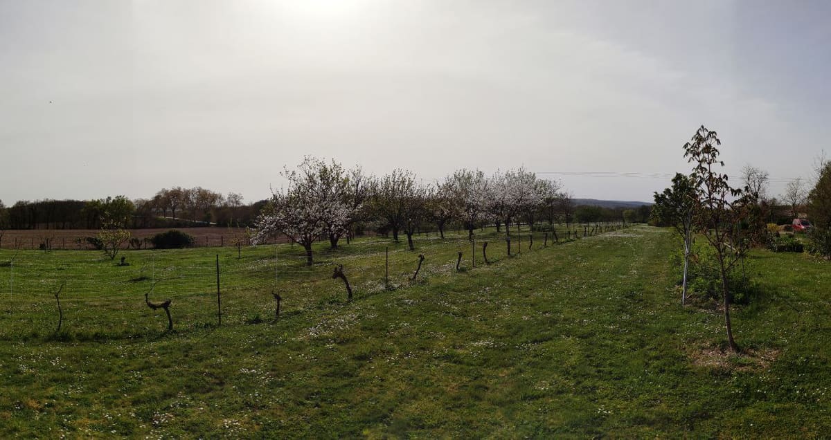 Photo du site de Lisse Lac