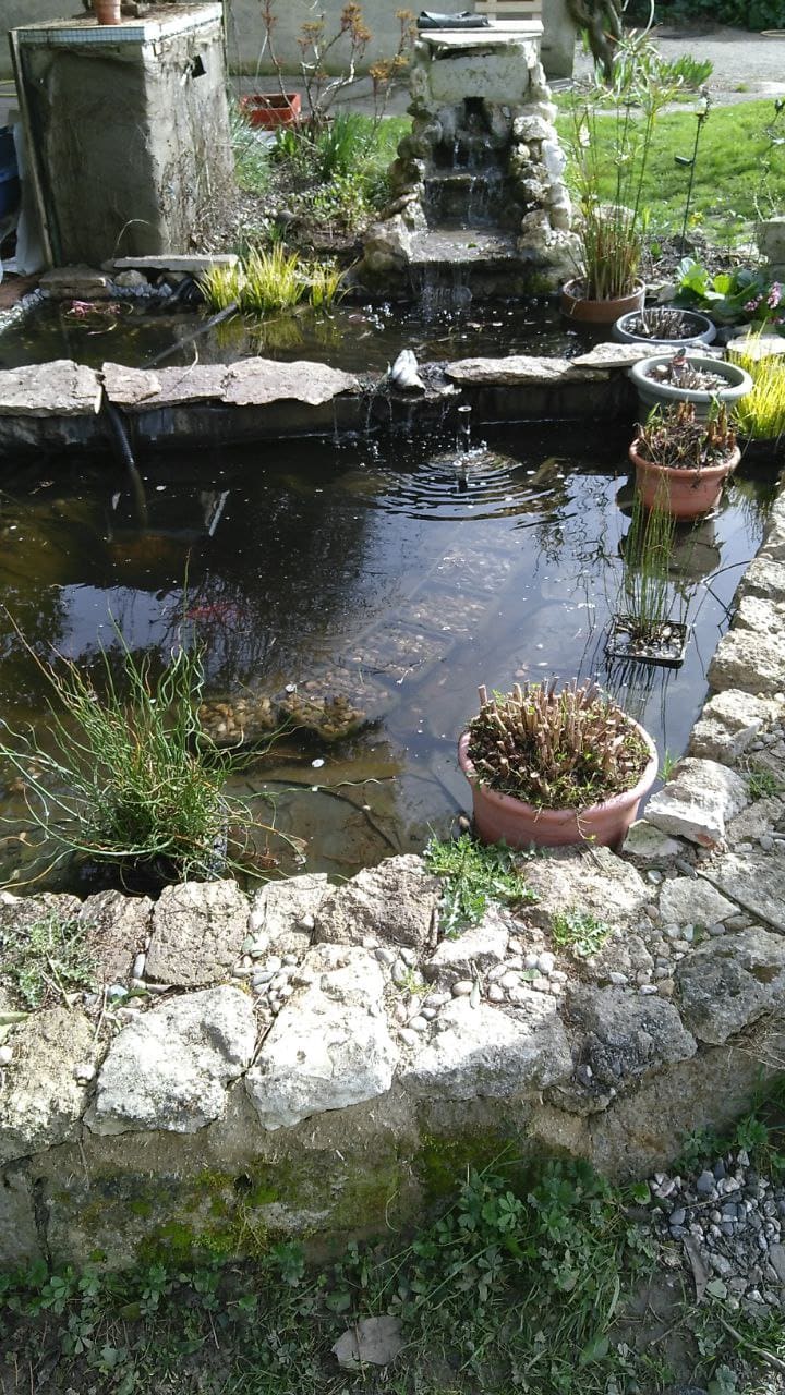 Photo du site de Lisse Lac